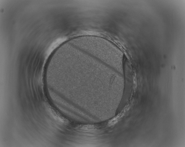 X0000088400104200706191407