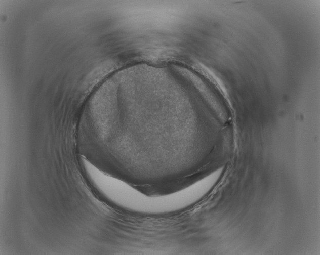 X0000088400105200706191407