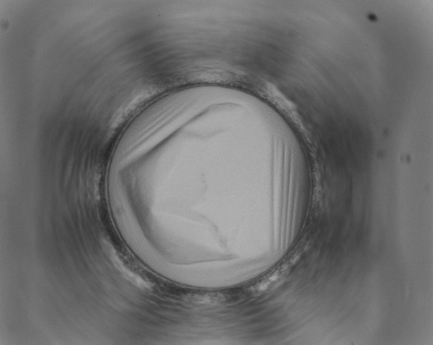 X0000088400106200706191407