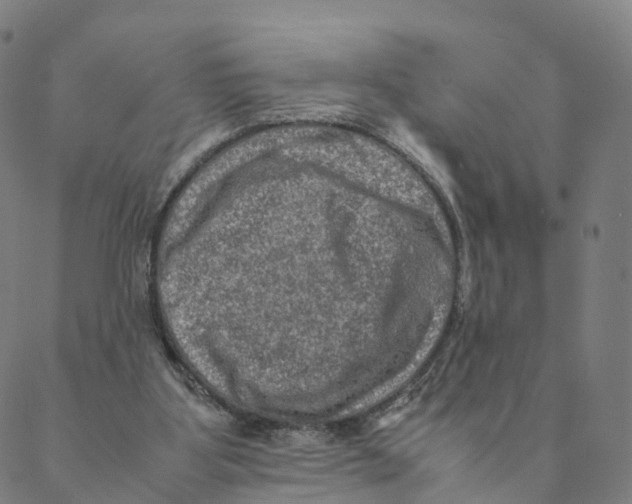 X0000088400107200706191407