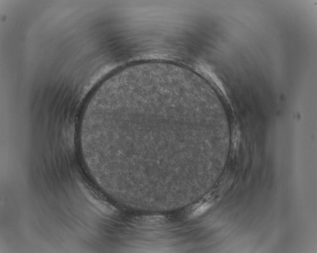 X0000088400108200706191407