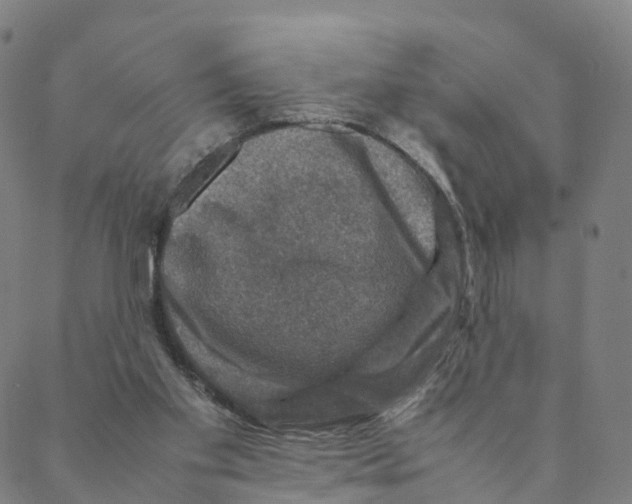 X0000088400109200706191407