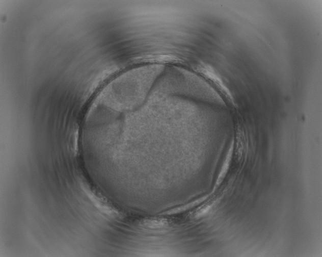 X0000088400110200706191407