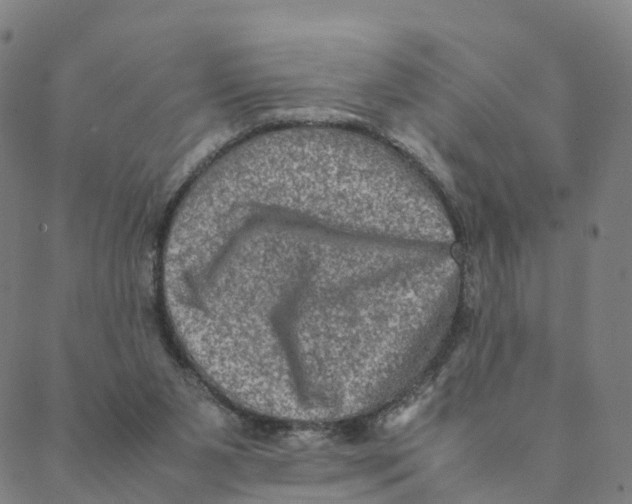 X0000088400111200706191407