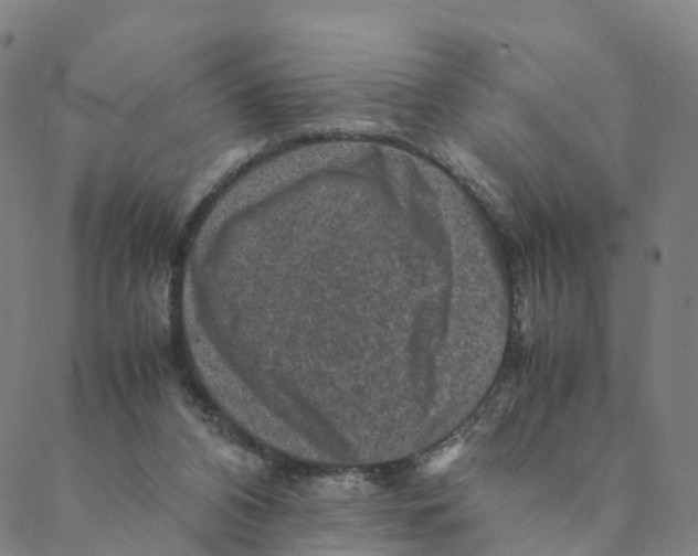 X0000088400112200706191407