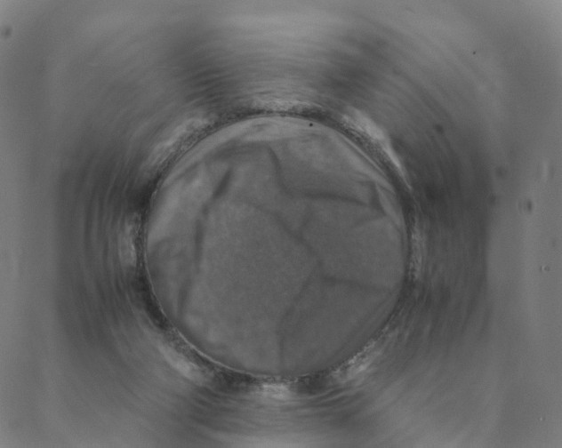 X0000088400114200706191407