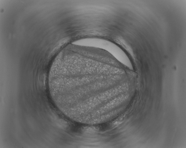 X0000088400115200706191407