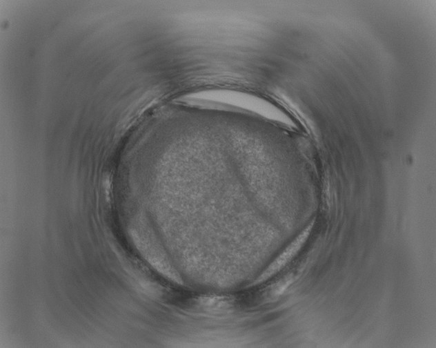 X0000088400117200706191407