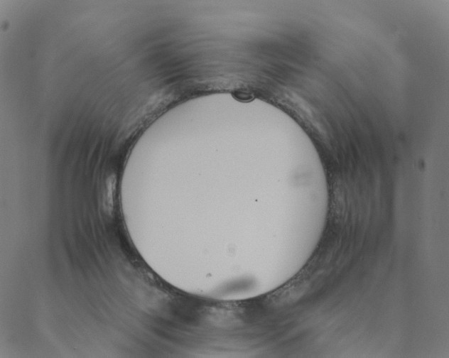 X0000088400118200706191407