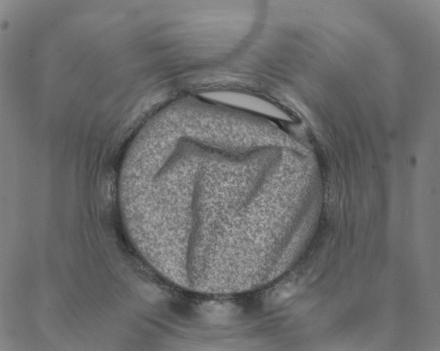 X0000088400119200706191407