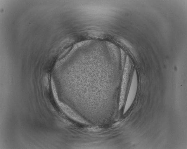 X0000088400121200706191407