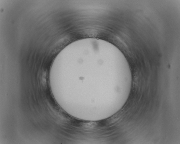 X0000088400122200706191407