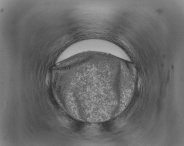 X0000088400125200706191407