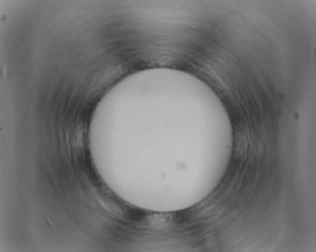 X0000088400126200706191407