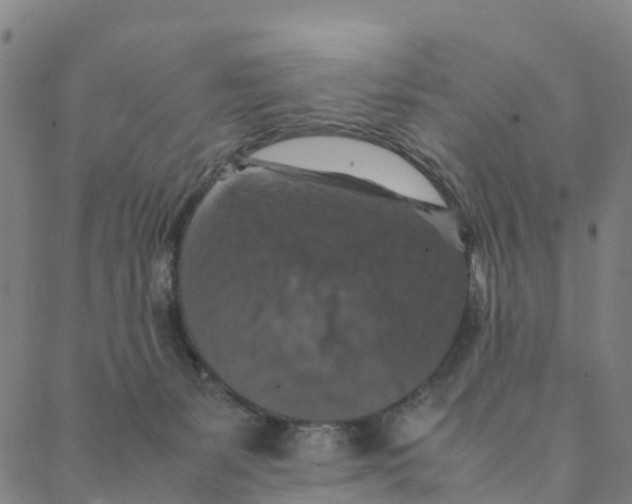 X0000088400127200706191407