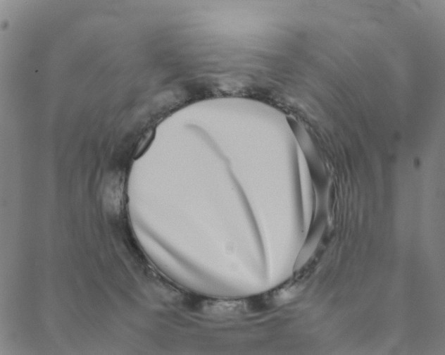 X0000088400129200706191407