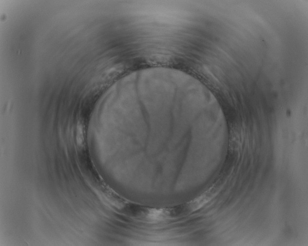 X0000088400130200706191407