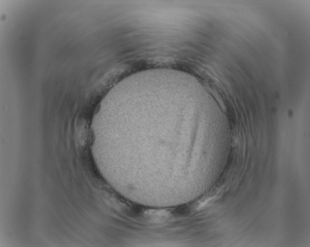 X0000088400133200706191407