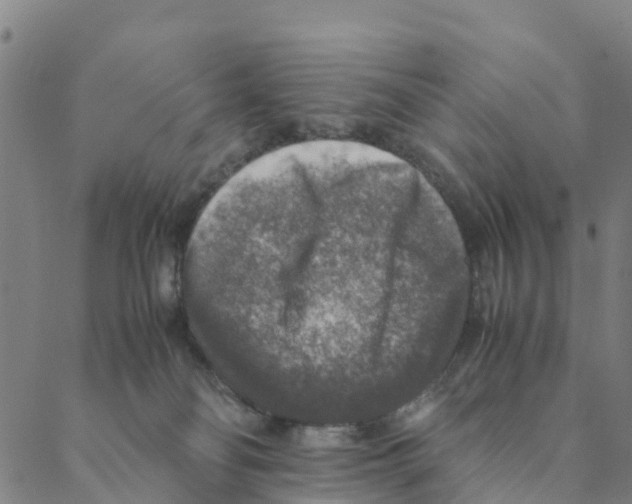 X0000088400134200706191407