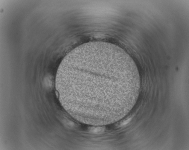 X0000088400135200706191407