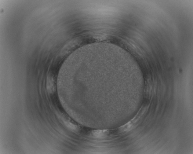 X0000088400136200706191407