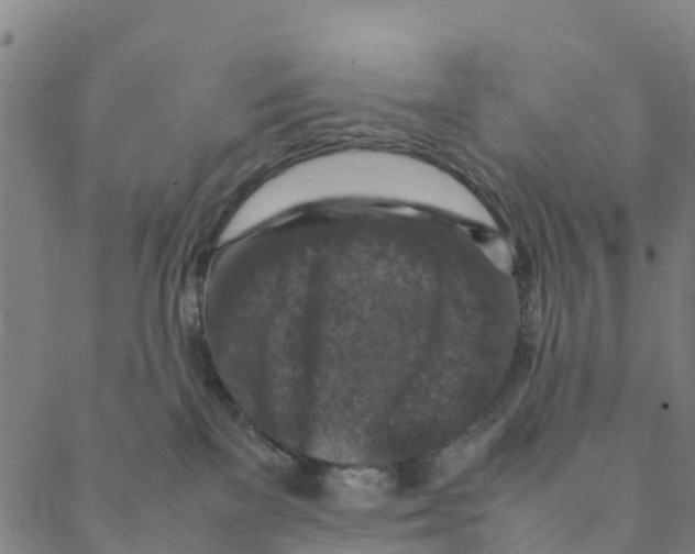 X0000088400137200706191407