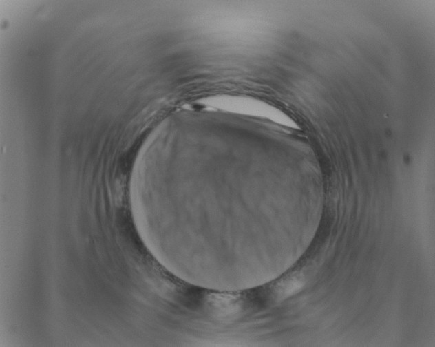 X0000088400139200706191407