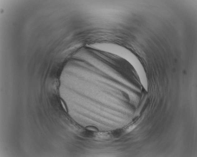 X0000088400141200706191407