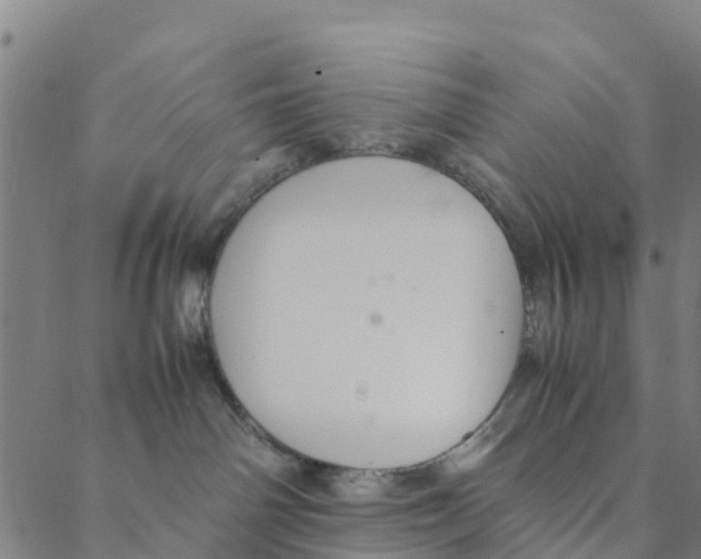 X0000088400142200706191407