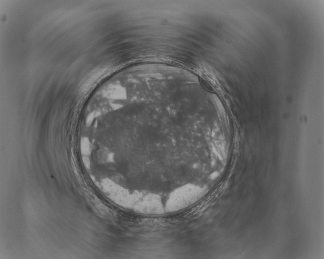 X0000088400145200706191406