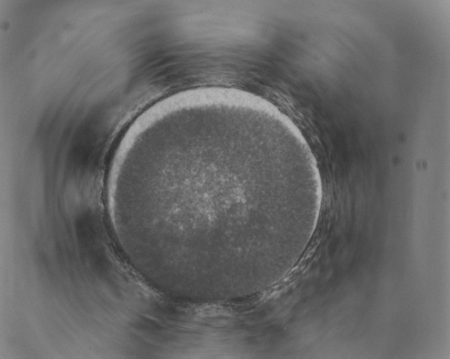 X0000088400146200706191406