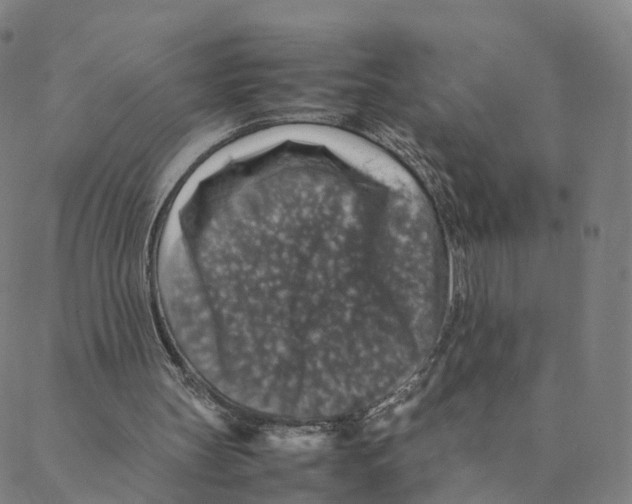 X0000088400147200706191406