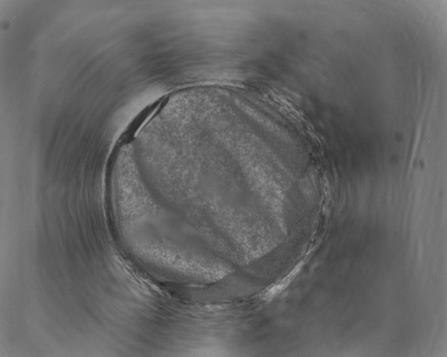 X0000088400148200706191406