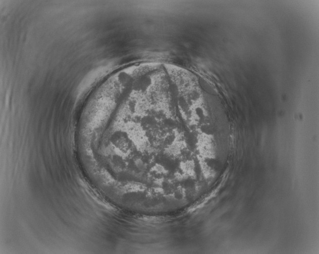 X0000088400149200706191406