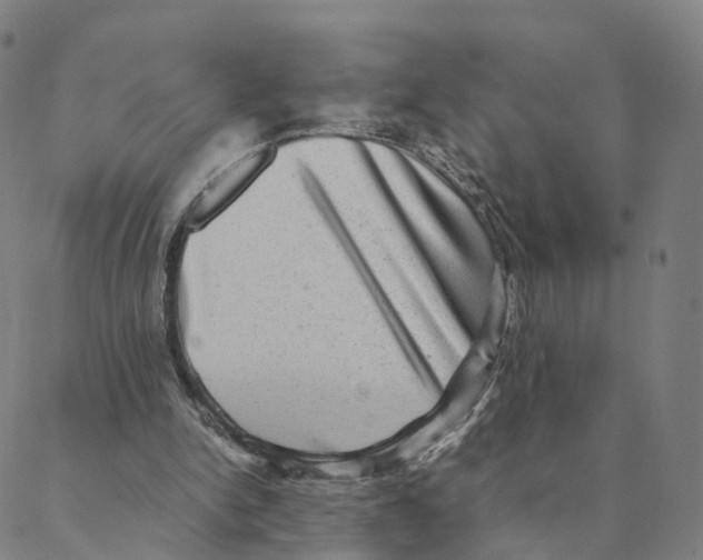 X0000088400150200706191406