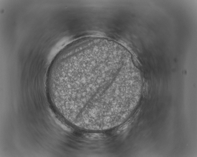 X0000088400151200706191406