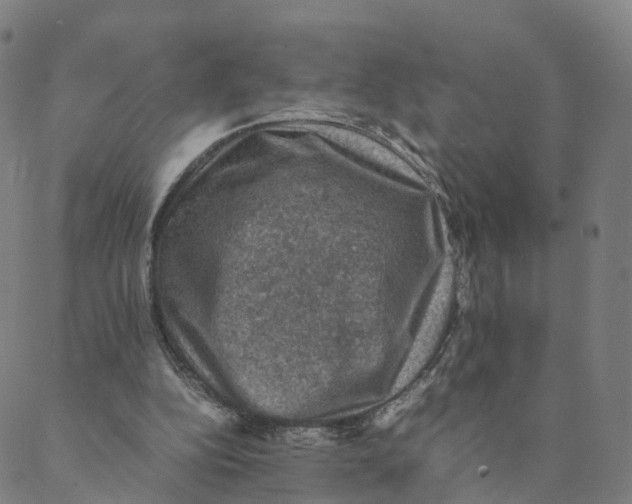 X0000088400152200706191406