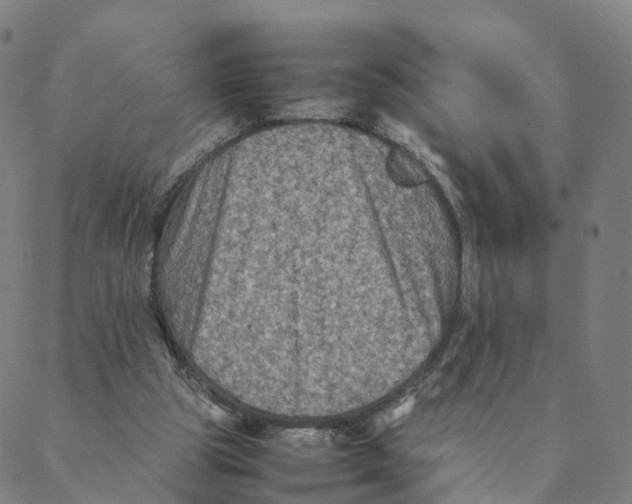 X0000088400153200706191406