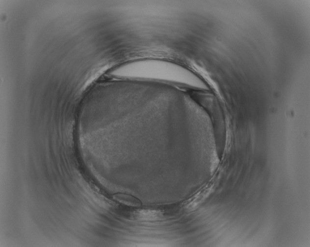 X0000088400154200706191406