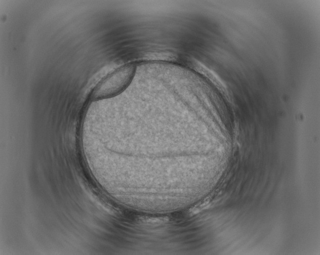 X0000088400155200706191406