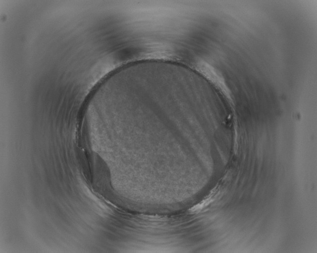 X0000088400156200706191406