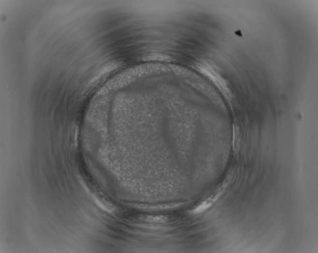 X0000088400157200706191406