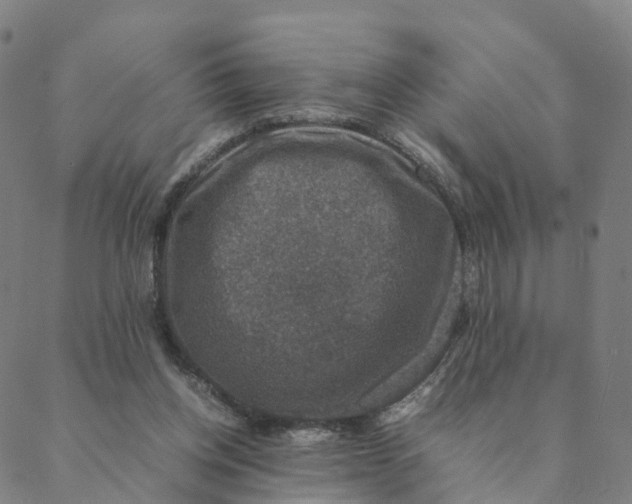 X0000088400158200706191406