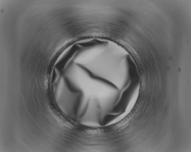 X0000088400160200706191406