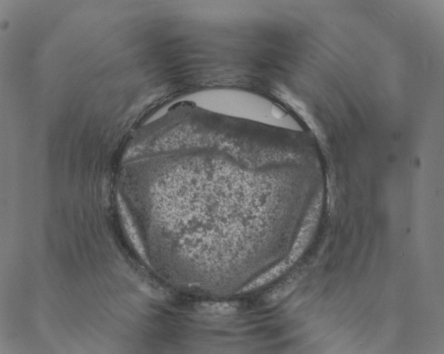 X0000088400161200706191406