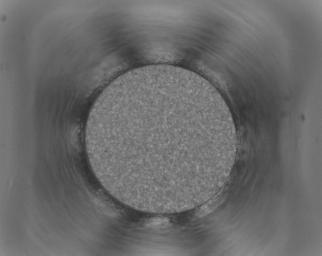 X0000088400162200706191406