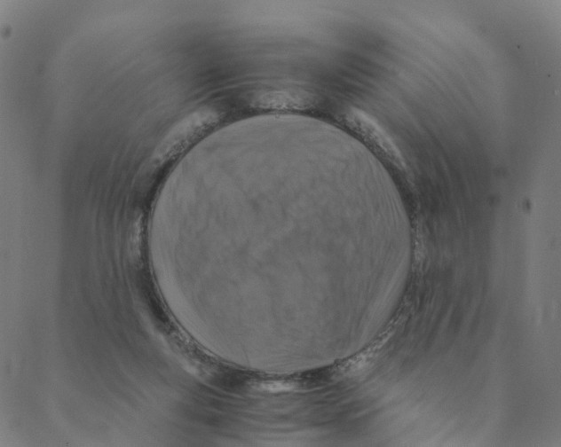 X0000088400163200706191406