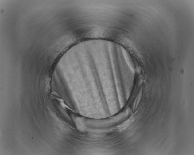 X0000088400164200706191406