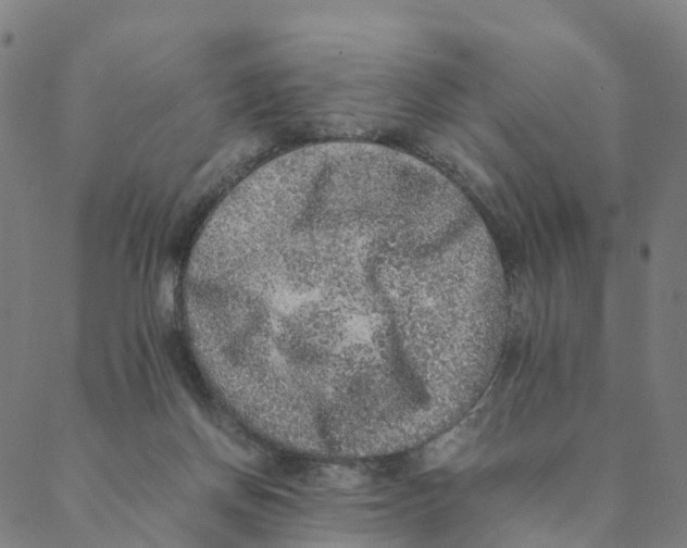 X0000088400166200706191406