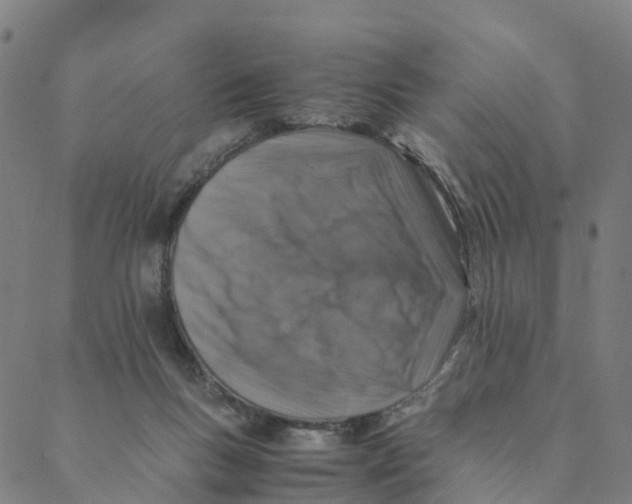 X0000088400167200706191406